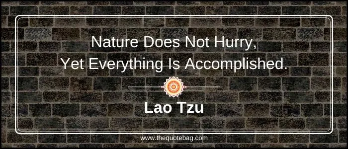 Lao Tzu Quotes